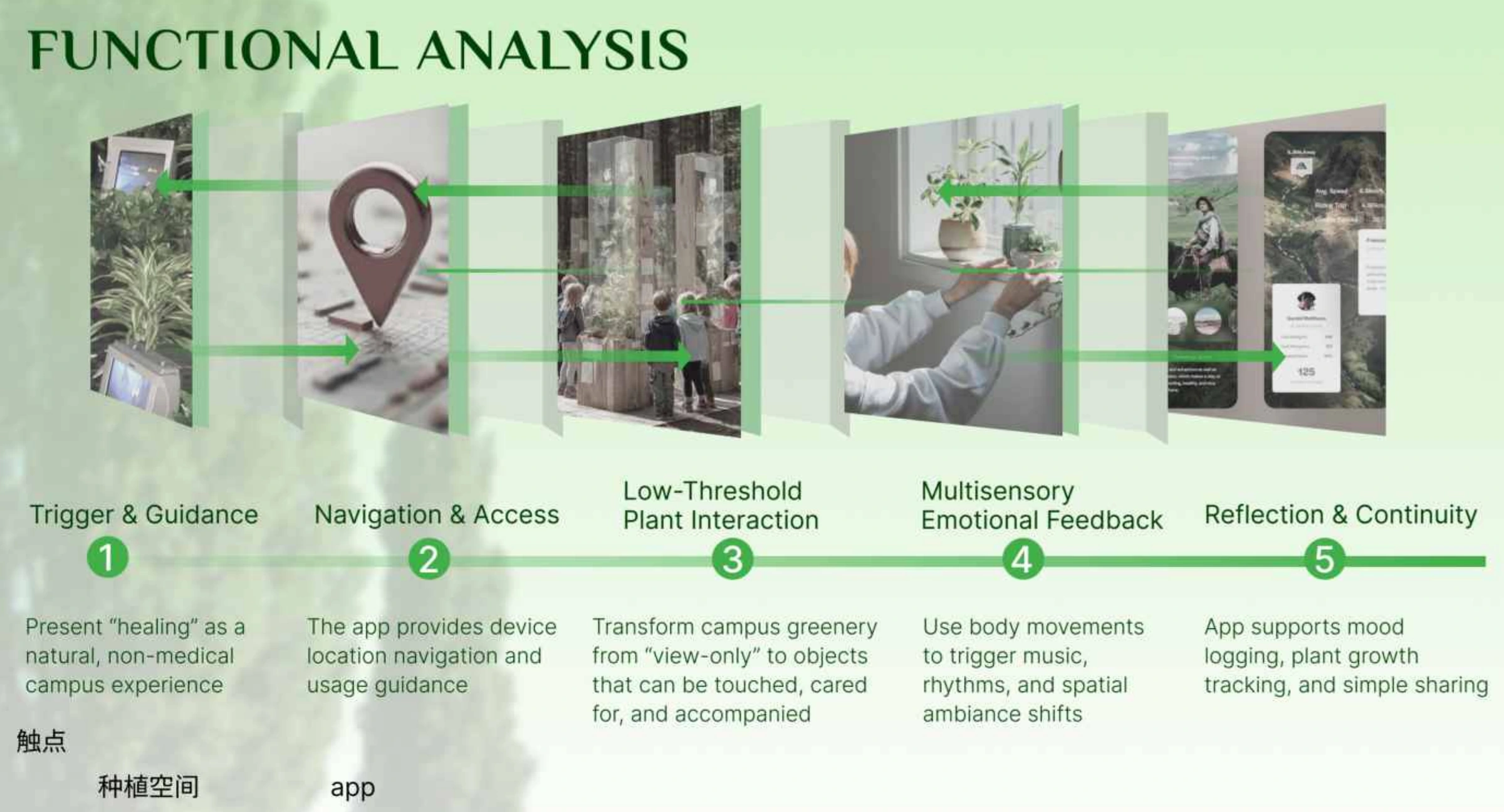 Proposed participation stages and functions, from a physical encounter to optional digital engagement.